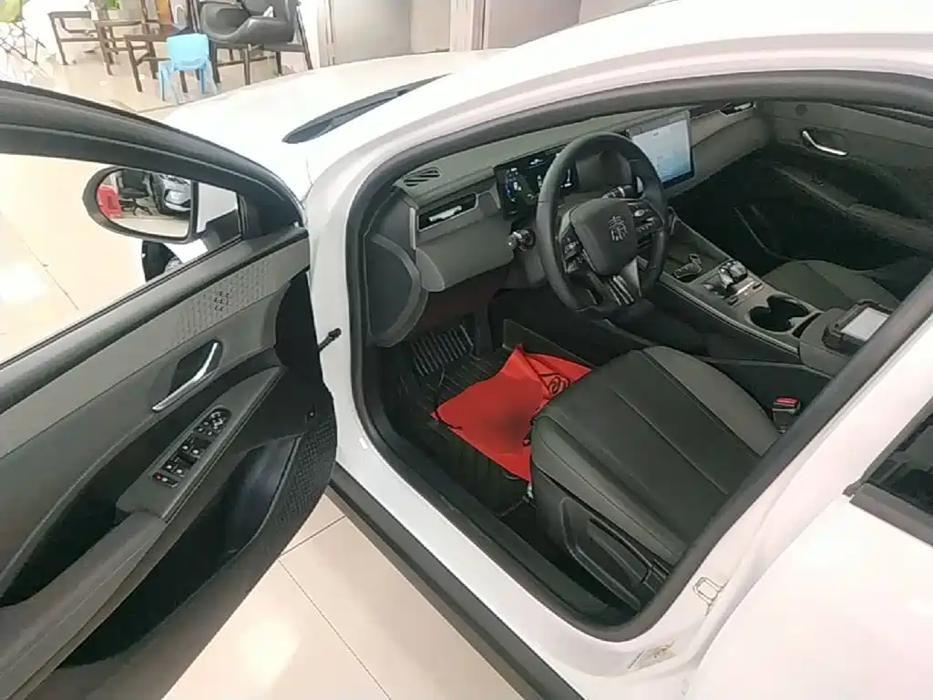 Фото 16 - BYD Qin PLUS