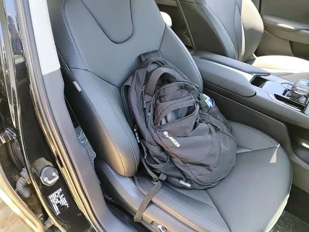 Hongqi E-QM5 2023 Facelift Basic Travel Edition фото 25