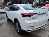 Фото 5 - Haval F7x