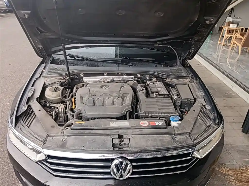 Volkswagen Magotan 2019 330TSI DSG Luxury China V фото 20