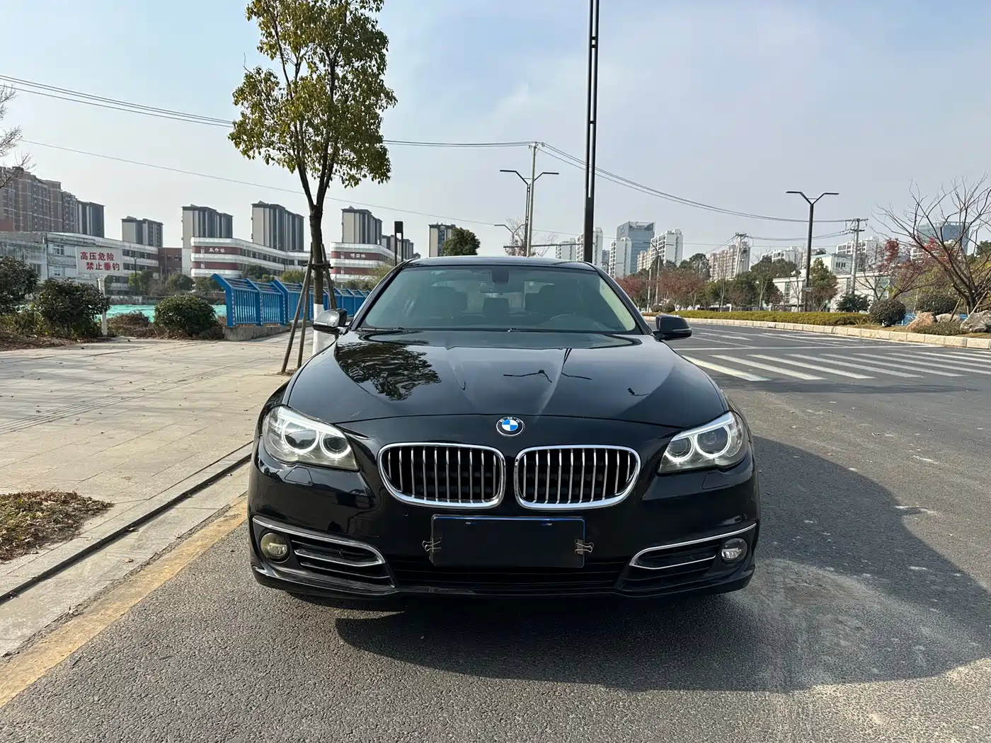 BMW 5 Series 2014 525Li Luxury Design Package фото 2