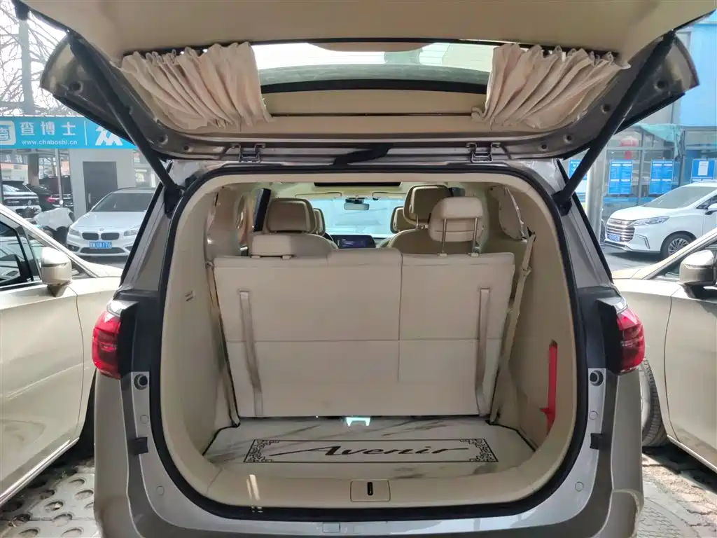 Buick GL8 2023 ES Landmaster Luxury фото 9