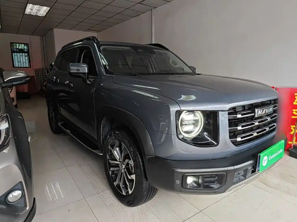 Фото 4 - Haval Dargo