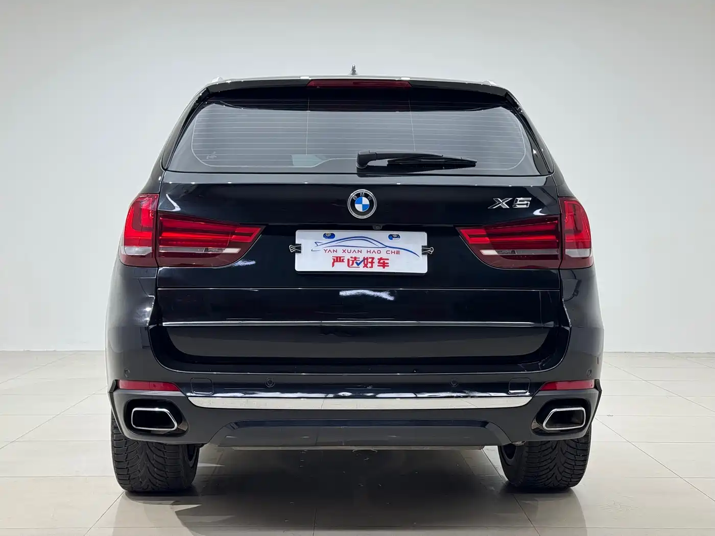 BMW X5 (Import) 2018 xDrive35i Elegant Model фото 5