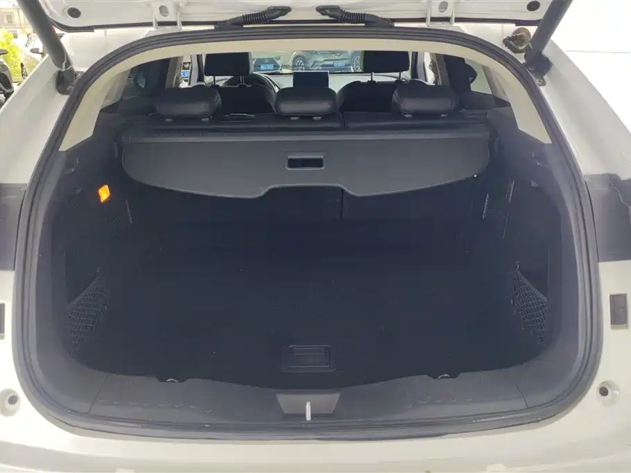 WEI PAI WEI BRAND VV5