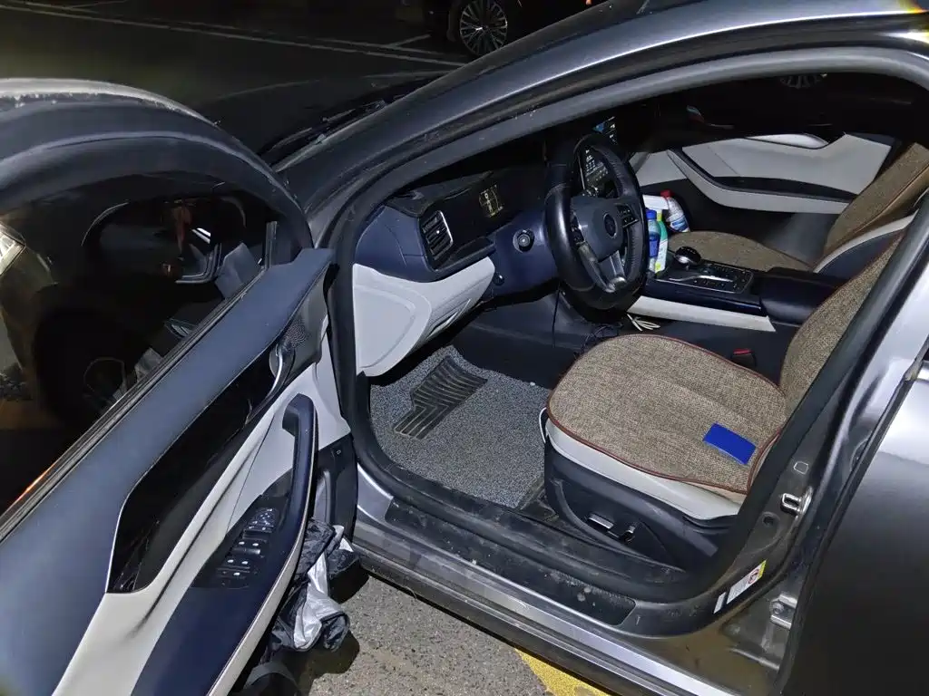 BYD Qin PLUS 2021 2021 DM-i 55KM Flagship