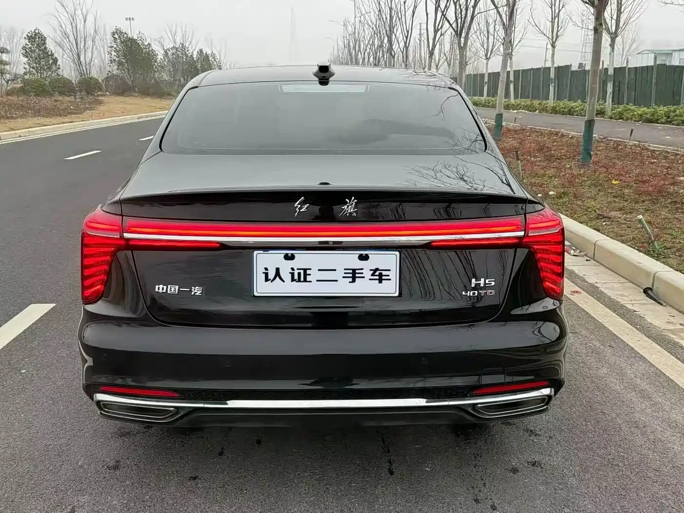 Hongqi HONGQI H5