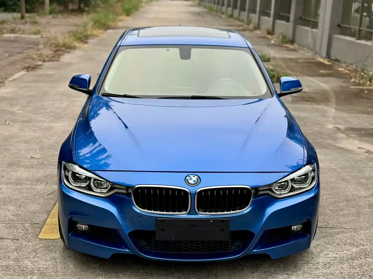 BMW 3 Series 2019 320Li M Sport Package фото 16