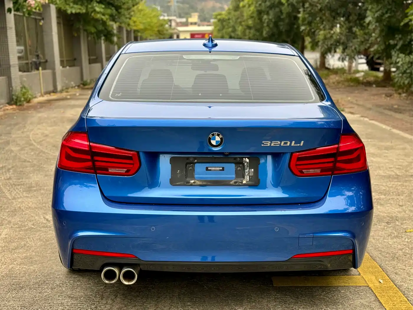 BMW 3 Series 2019 320Li M Sport Package фото 5