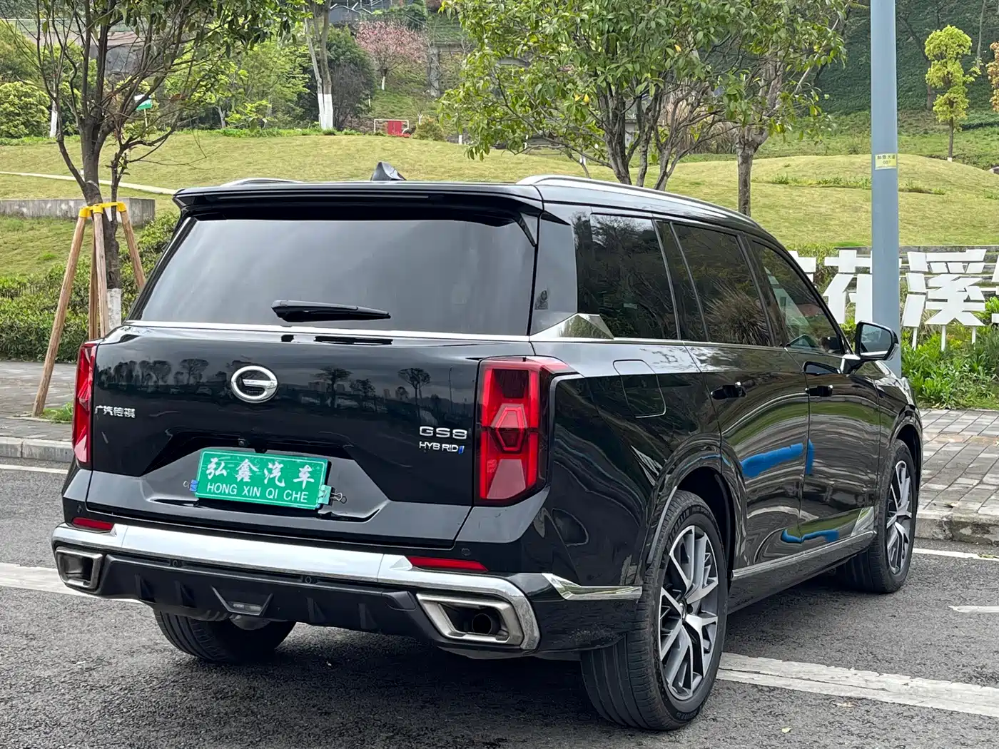 GAC Trumpchi Trumpchi GS8 2022 Dual Engine Series 2.0TM 2WD Premium Edition (7-Seater) фото 6