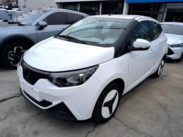  JMCG New Energy Little Kirin 2025 PLUS+ Comfort Model