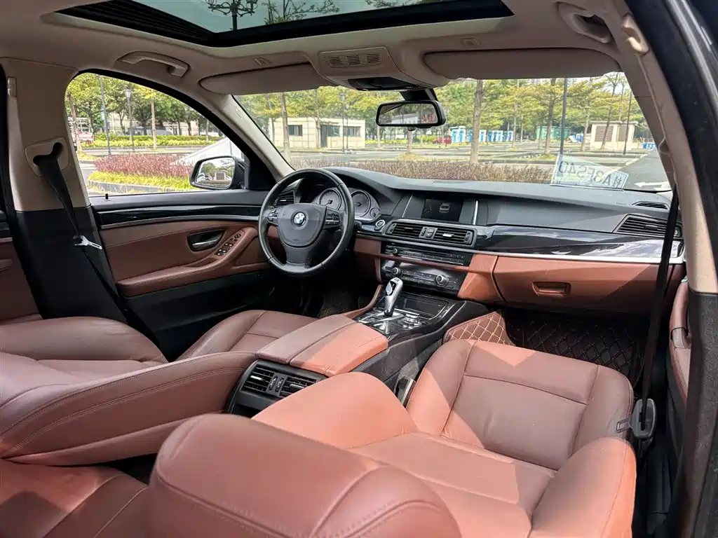 BMW 5 Series (Import) 2015 520i Elegance фото 10