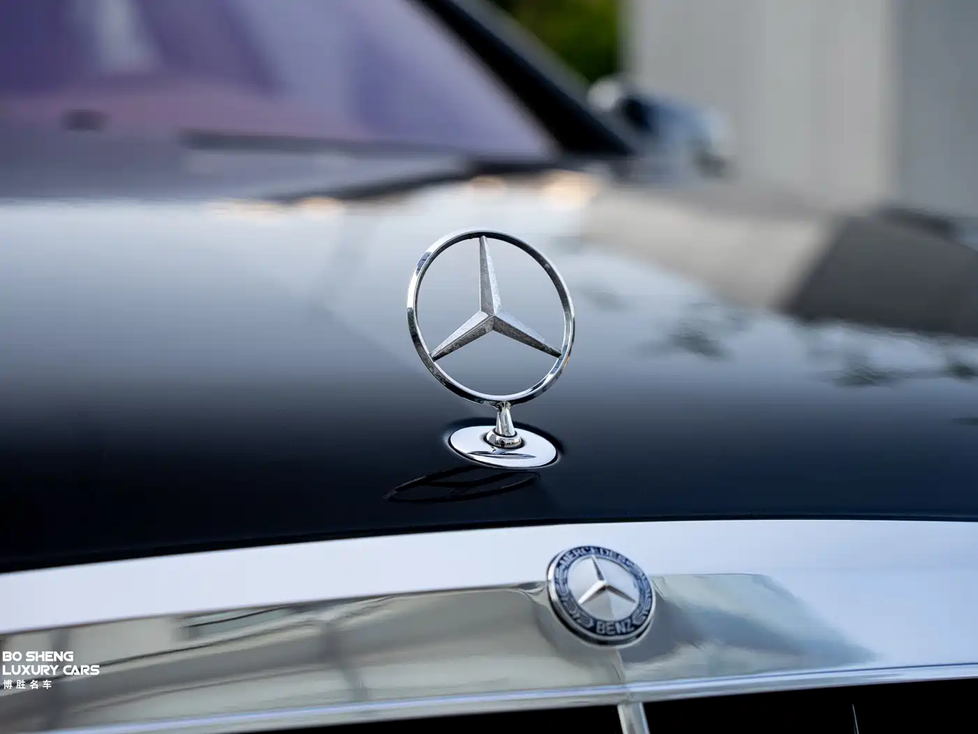 Mercedes-Benz S-Class AMG 2010 AMG S 65 фото 7