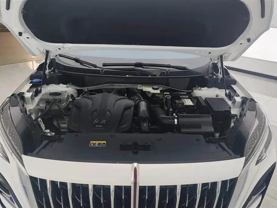 Hongqi HS3 2023 1.5T 2WD Virtue Edition фото 10