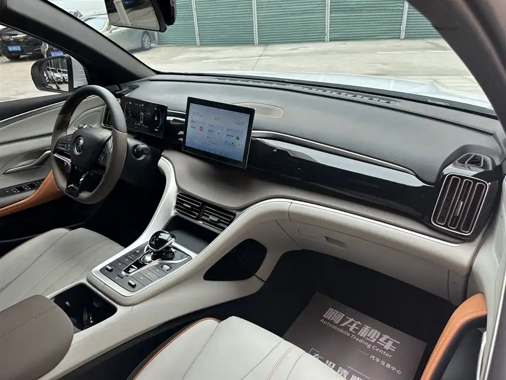 BYD Song Pro New Energy 2022 DM-i 51km Luxury фото 6