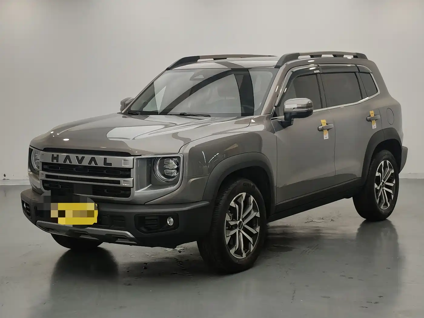 Haval Big Dog 2024 1.5T DCT Border Collie Edition