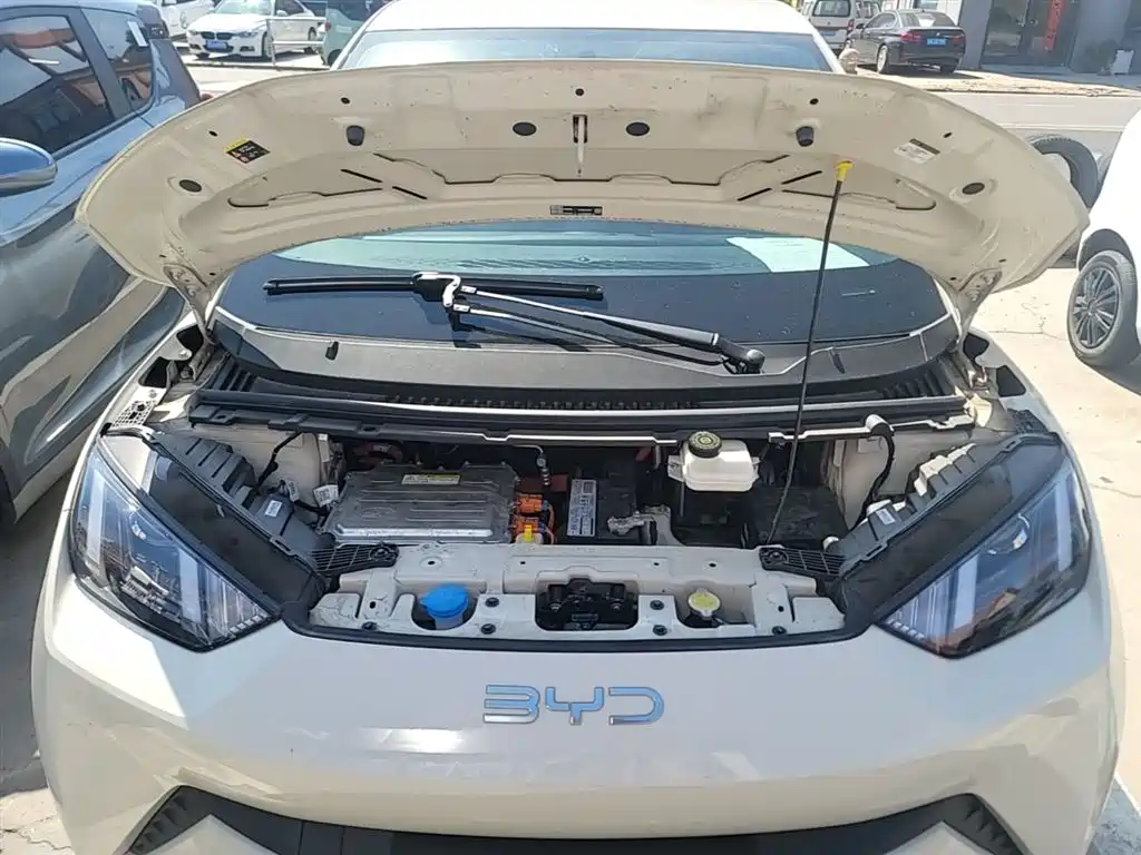 BYD Seagull 2025 305km Vitality фото 20