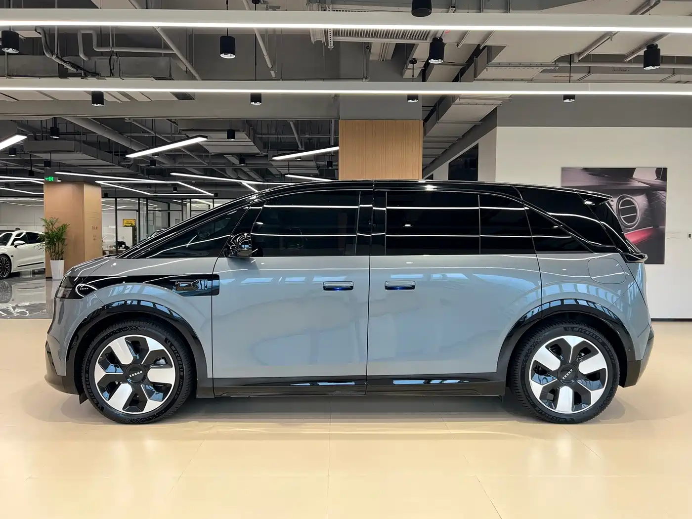 ZEEKR MIX 2025 2025 Smart Driving Edition