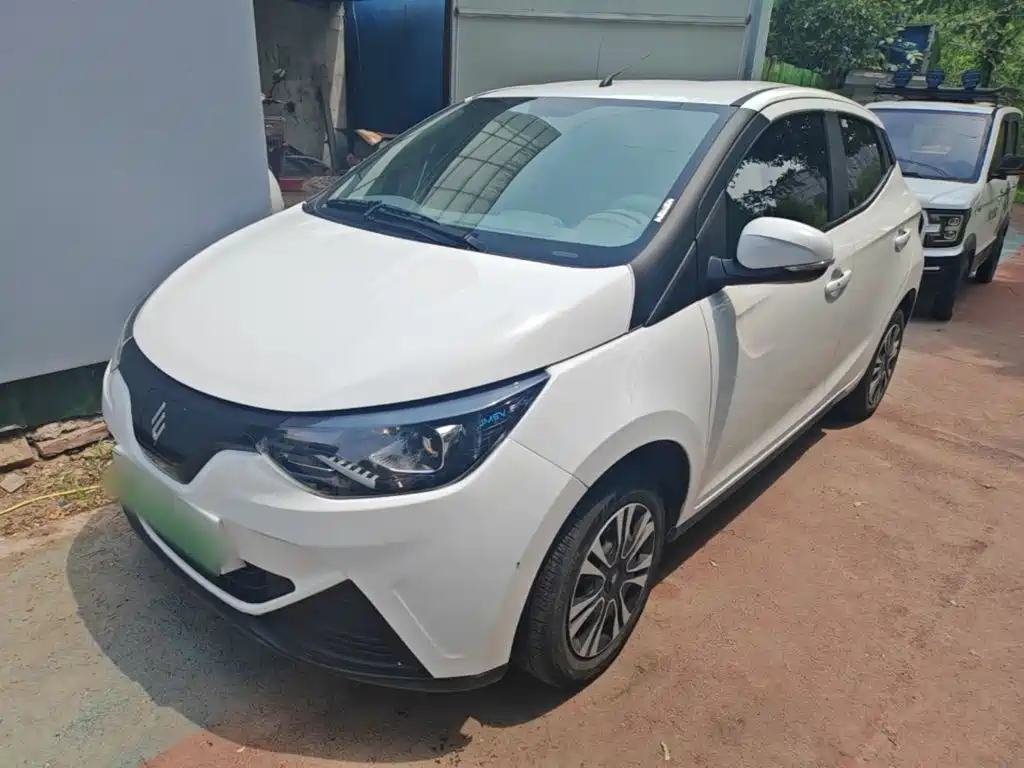 JMCG New Energy Little Kirin 2024 201km Comfort Model