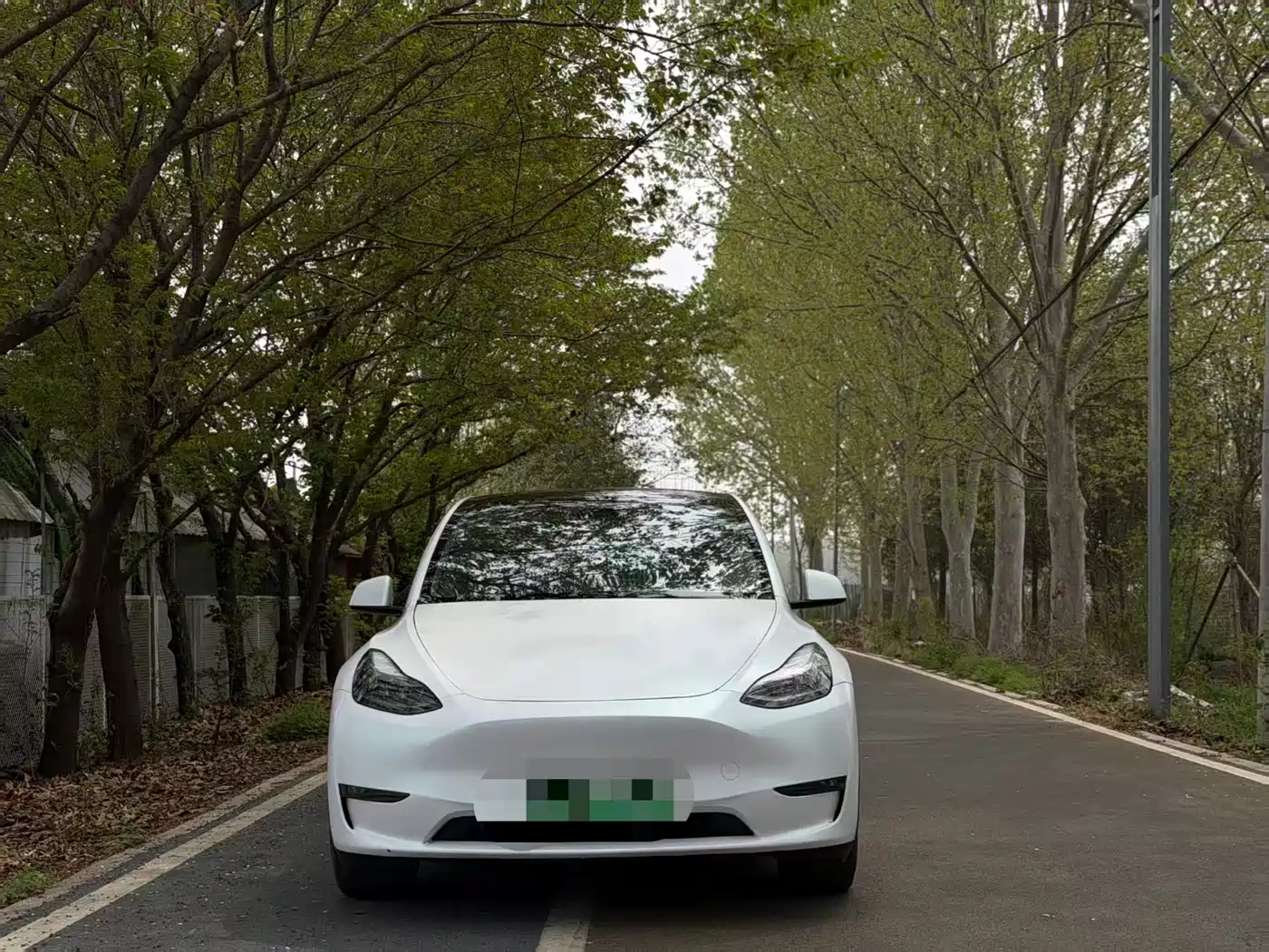TESLA MODEL Y