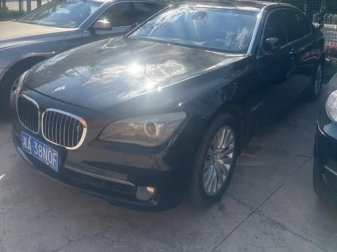 BMW 7 Series 2009 750Li Luxury фото 2