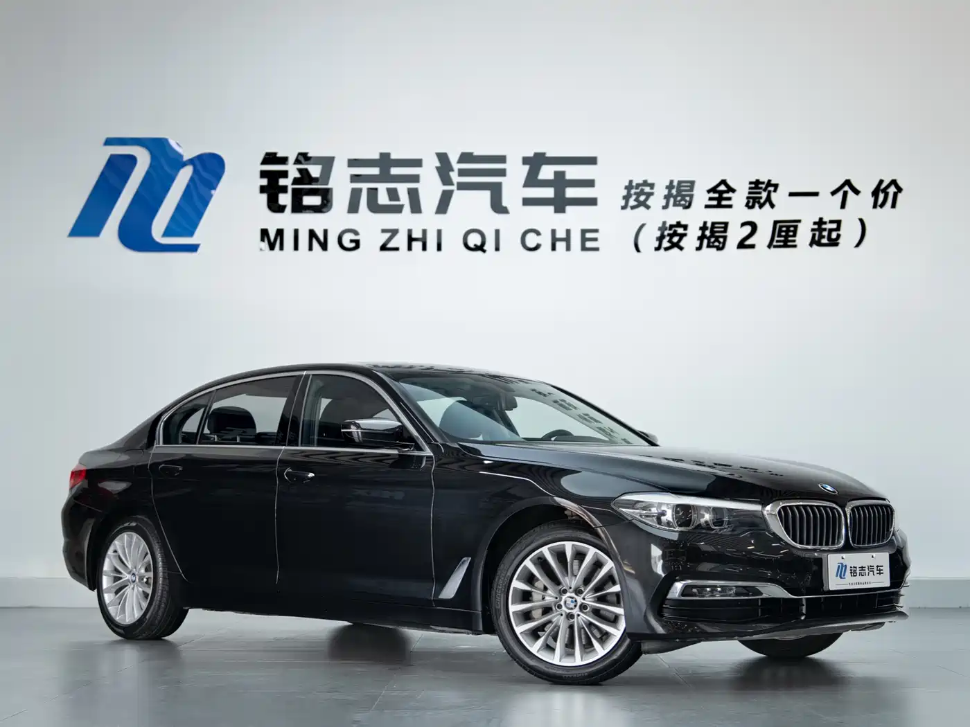 BMW 5 Series 2019 530Li Leading Luxury Package фото 3