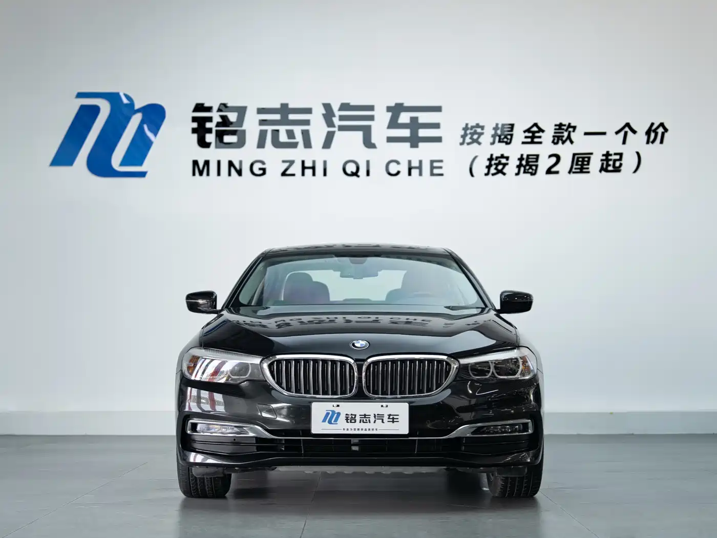 BMW 5 Series 2019 530Li Leading Luxury Package фото 6