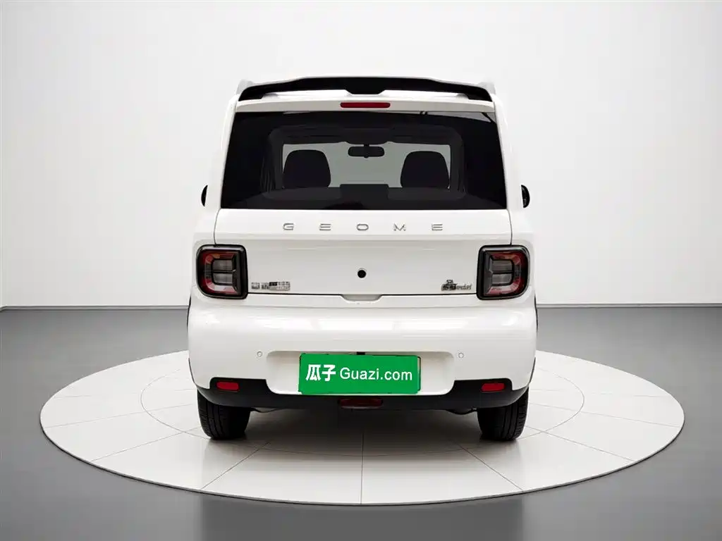 Geely Galaxy Panda 2025 Panda mini 210km Vitality Bear фото 28