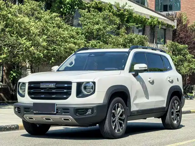 Haval Big Dog 2022 1.5T DCT FWD Border Collie Edition