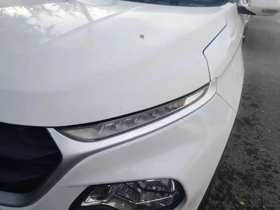 Baojun 510 2021 2021 1.5L Manual Dynamic Edition