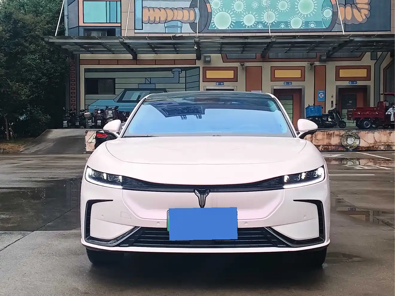 Voyah Passion 2023 2023 4WD Flagship Edition