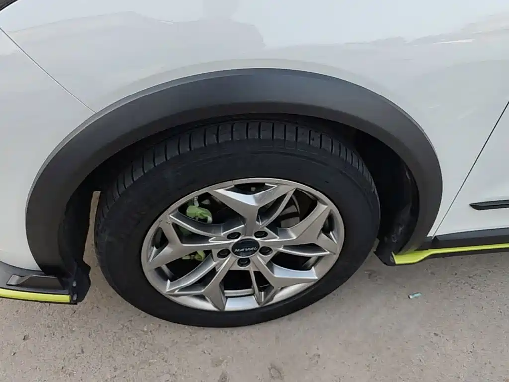 Haval Chitu 2022 2022 Power Edition 1.5T Purple Copper Rabbit