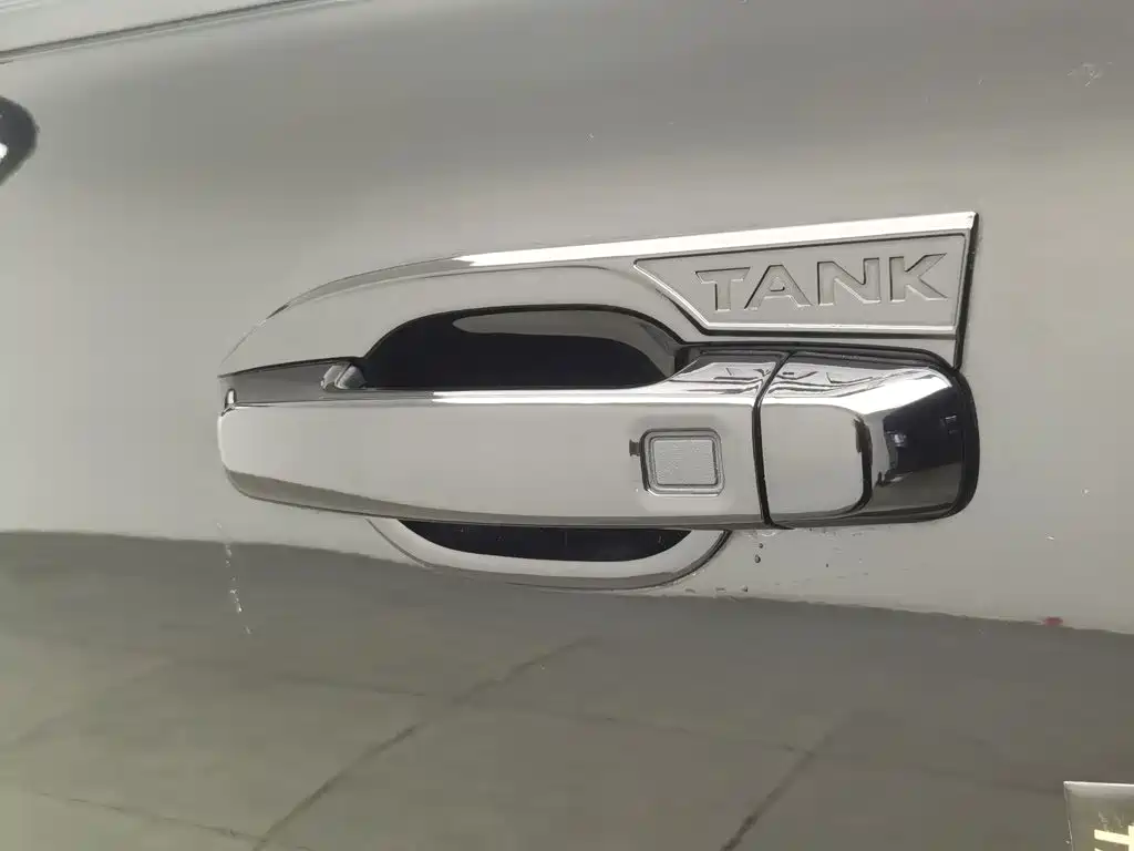 Tank 300 2021 2021 Off-road Version 2.0T Conqueror