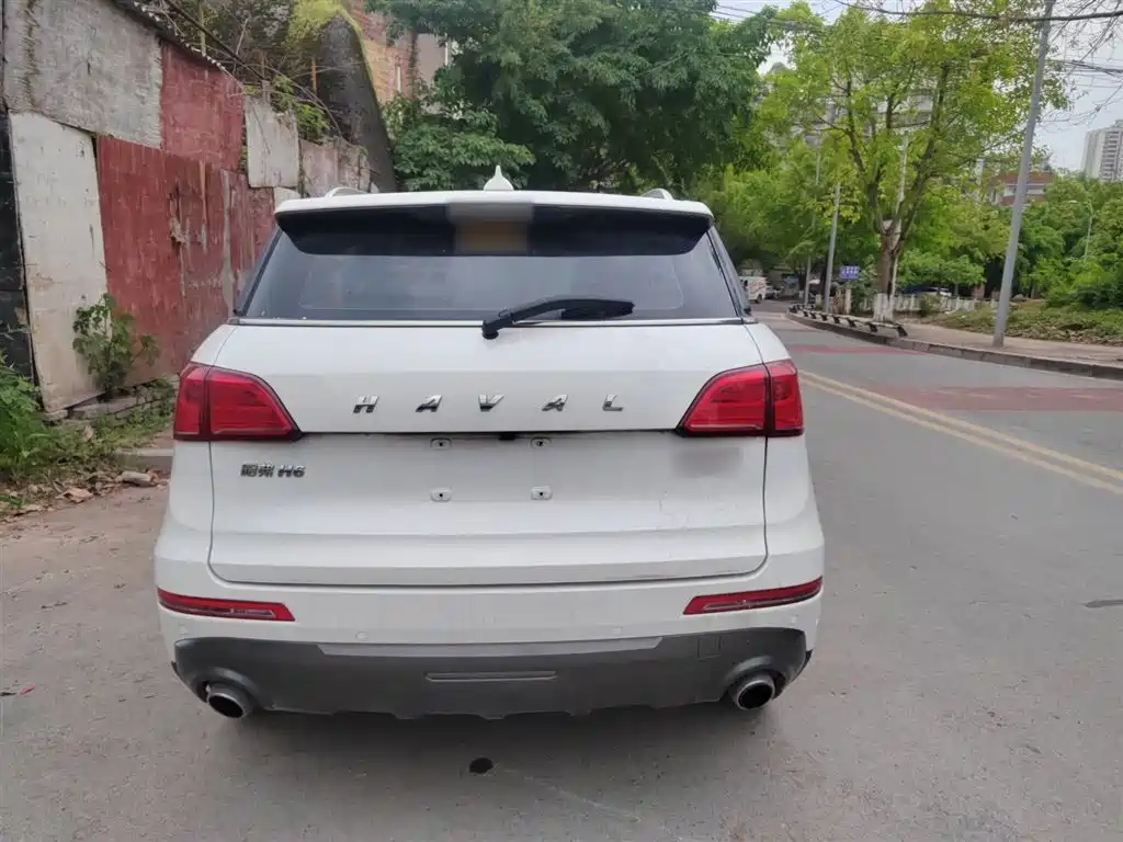 Haval H6 Coupe 2018 Blue Label 1.5T Automatic 2WD Ultra Luxury фото 8