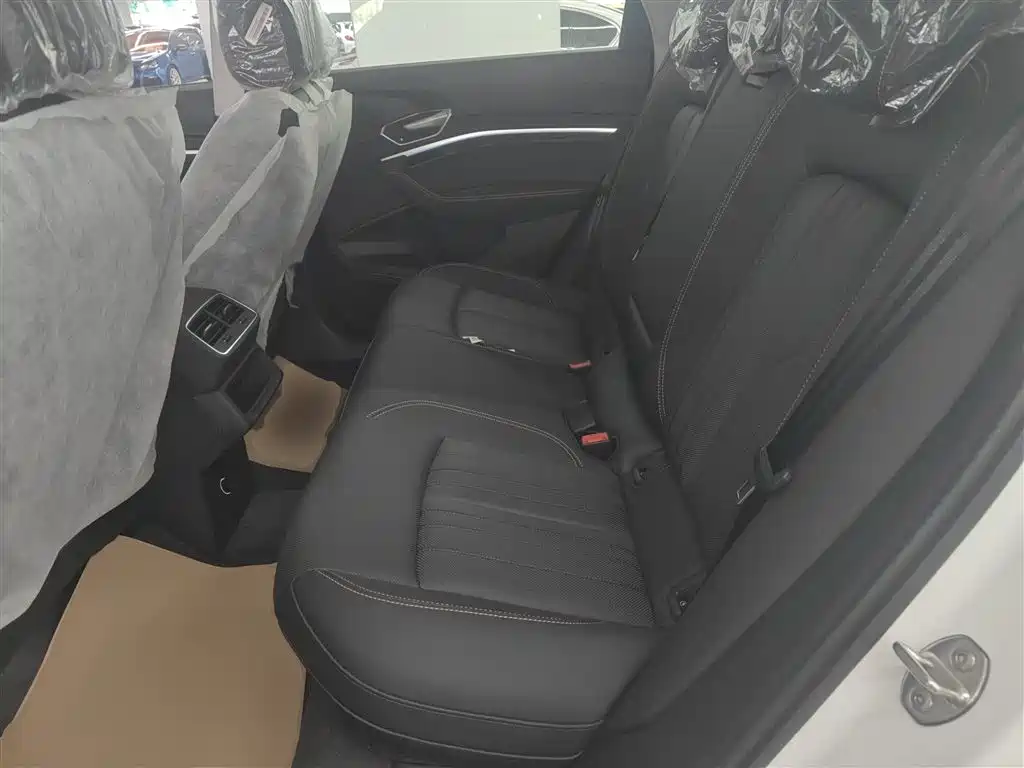 Audi e-tron 2021 50 quattro Luxury фото 17