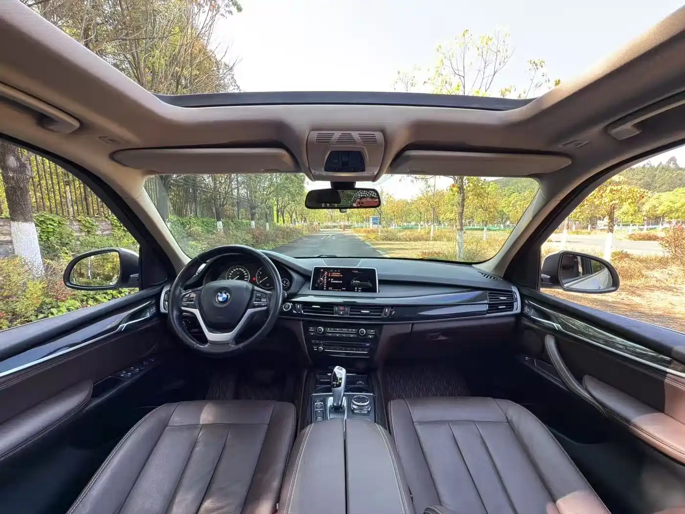 BMW X5 (Import) 2014 xDrive35i Luxury фото 9