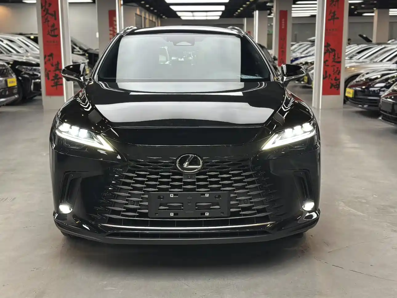 LEXUS RX