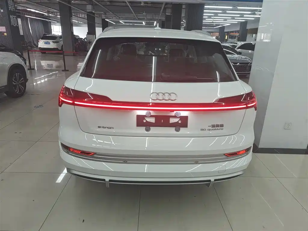 Audi e-tron 2021 50 quattro Luxury фото 6