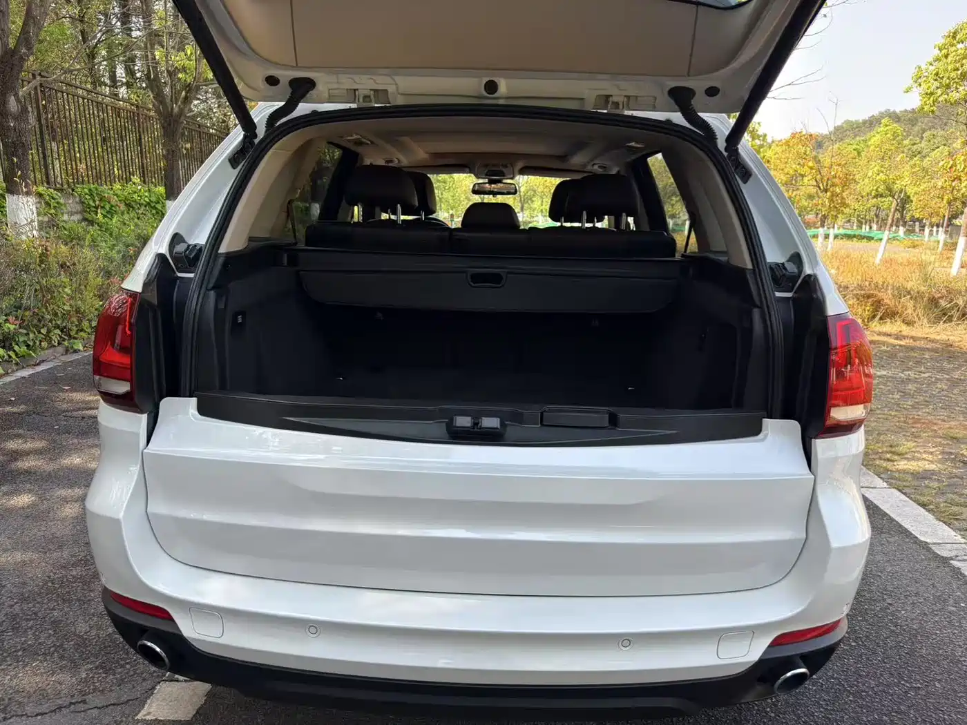 BMW X5 (Import) 2014 xDrive35i Luxury фото 17