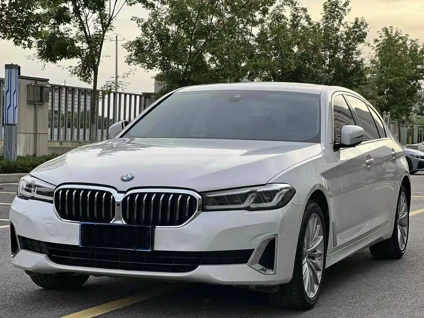 BMW 5 Series 2021 530Li Premium Luxury Package