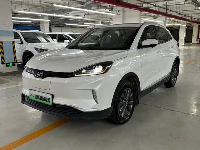 Weltmeister Weltmeister EX5 2018 EX5 400 Extra Innovation Edition