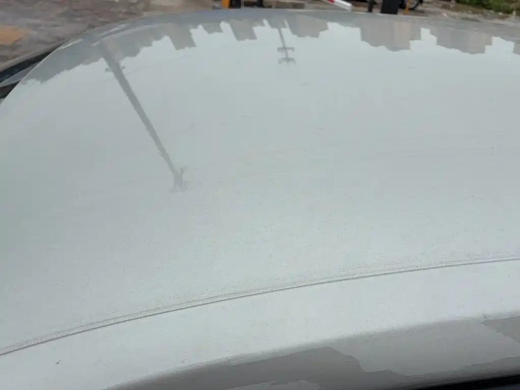 Photo 26 - Volkswagen Sagitar