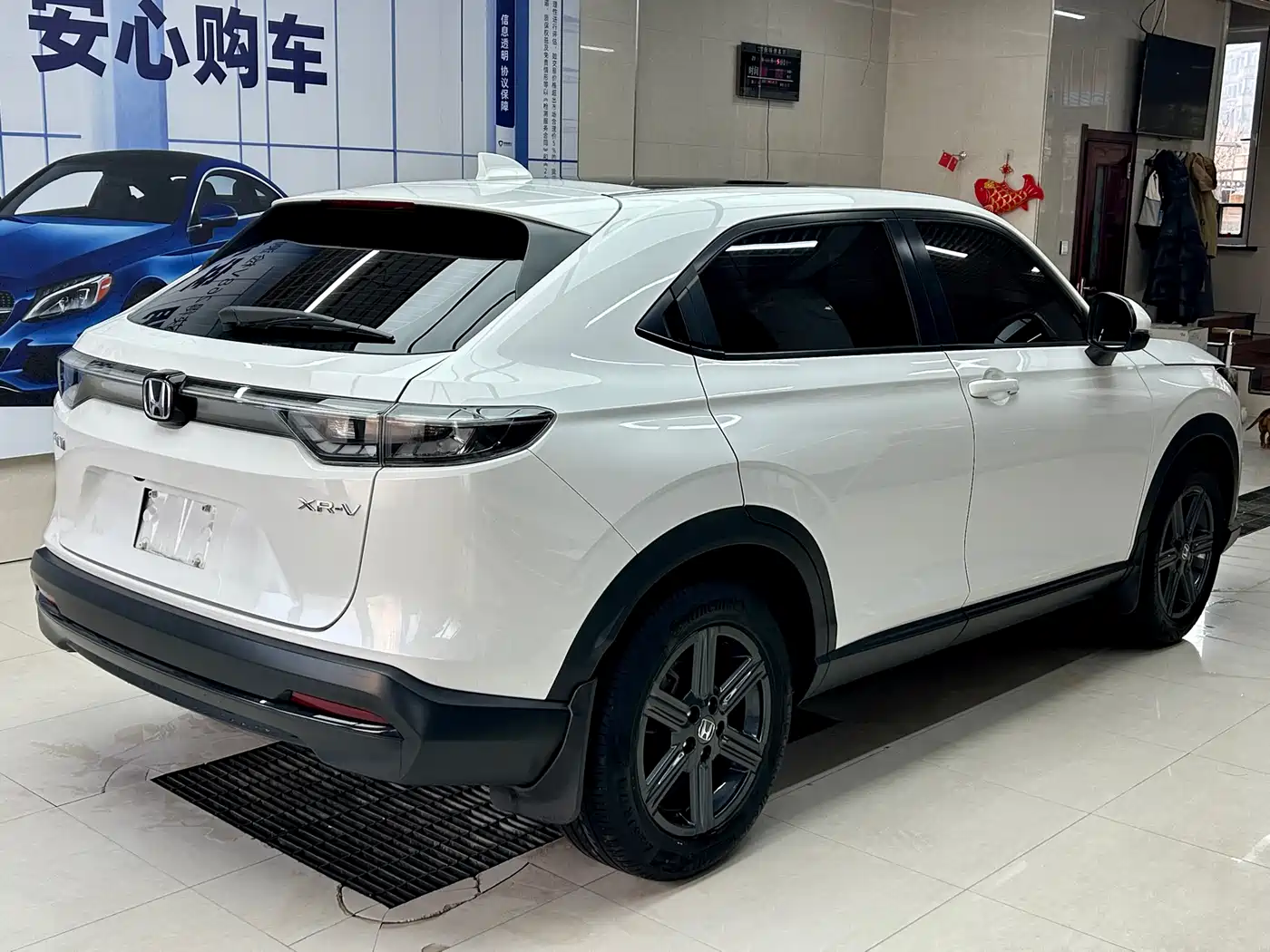 XR-V