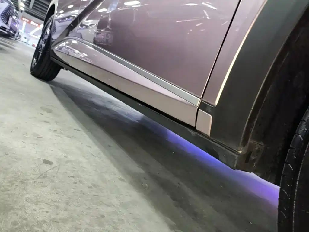 BYD Dolphin 2022 2021 405km Freedom Edition