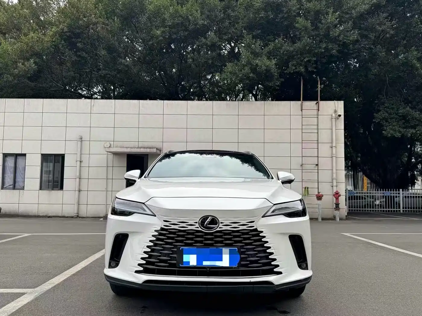 LEXUS RX