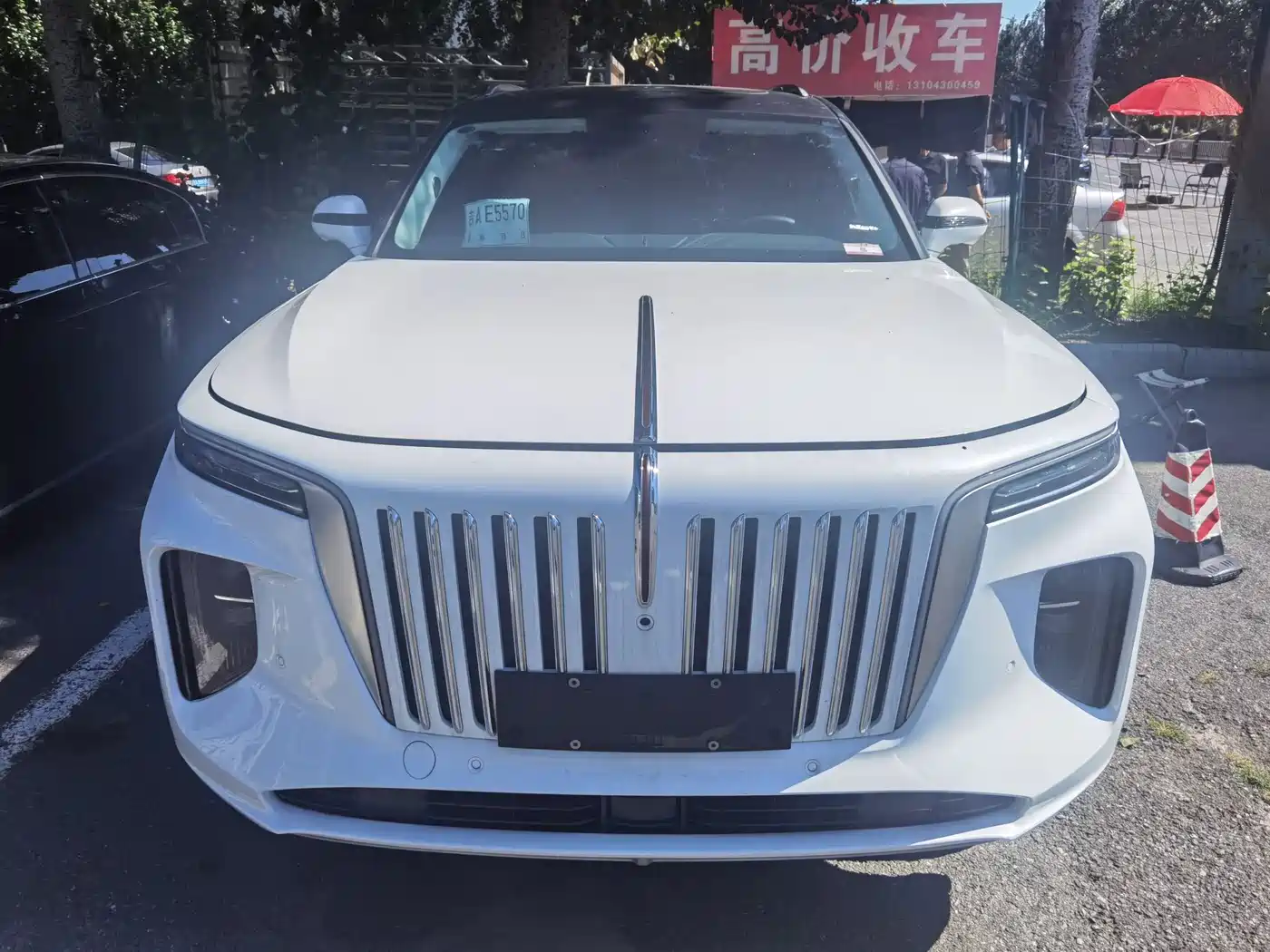 Hongqi E-HS9 2025 2022 660km Qi Chang Edition (6-seater)