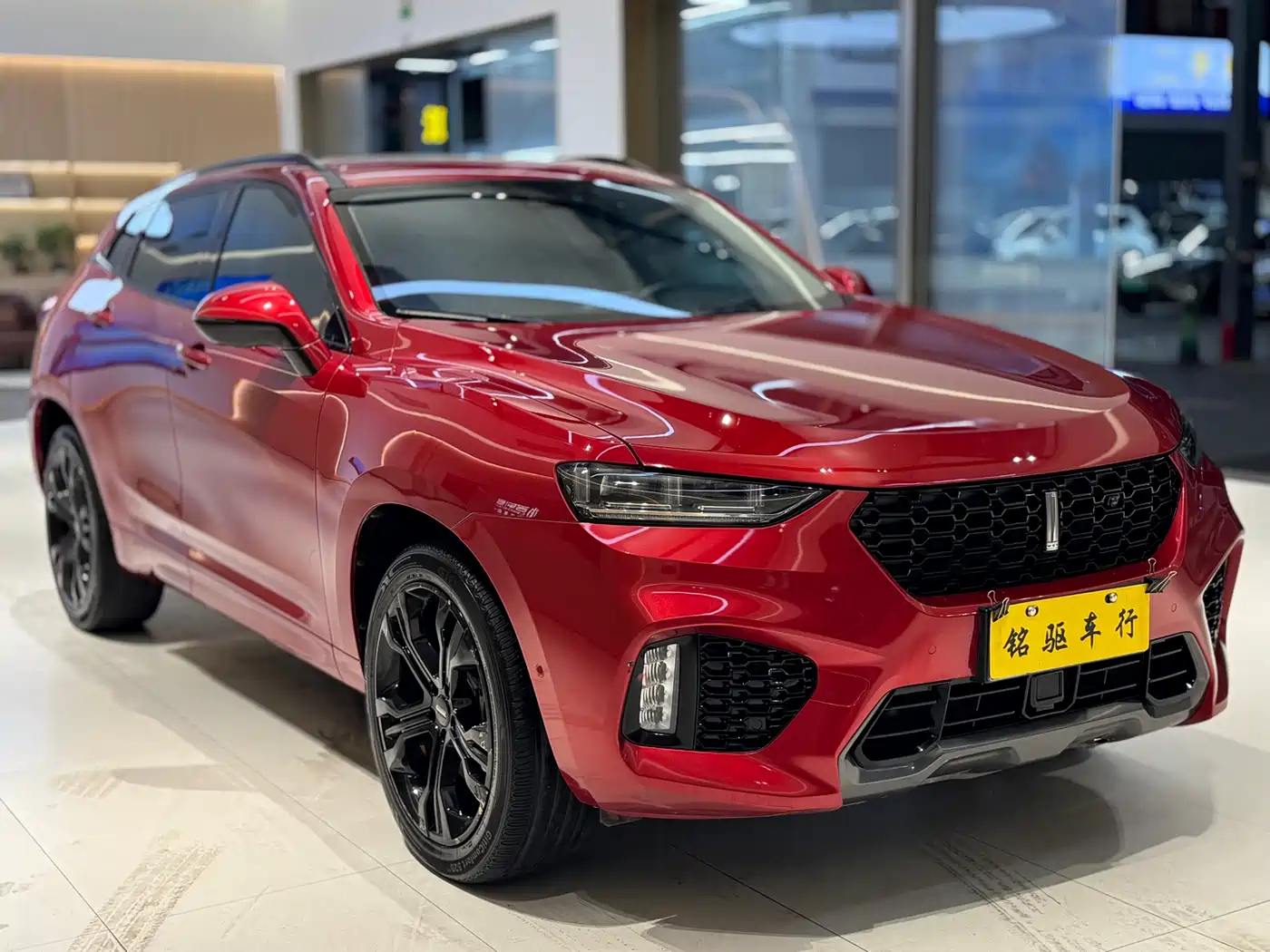 WEI PAI WEI BRAND VV7