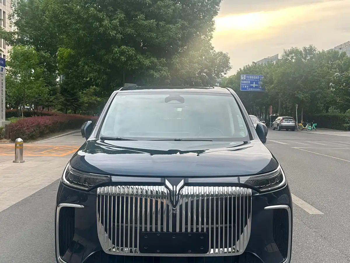Voyah Auto Voyah Dreamer 2025 PHEV AWD Flagship Kunpeng Edition фото 2