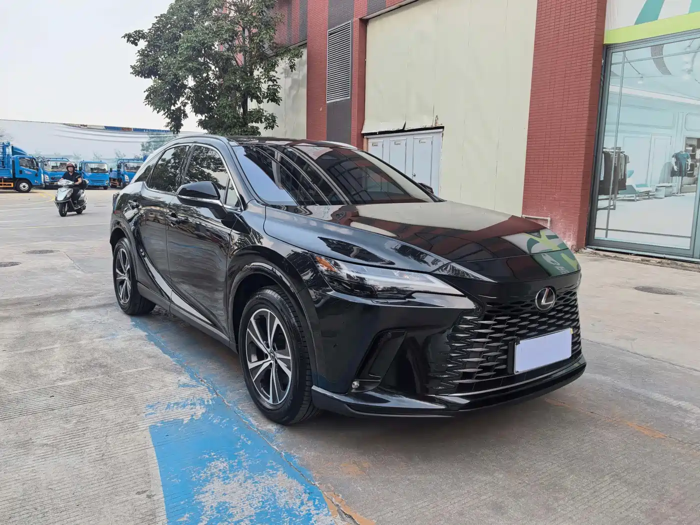 2025 Lexus RX