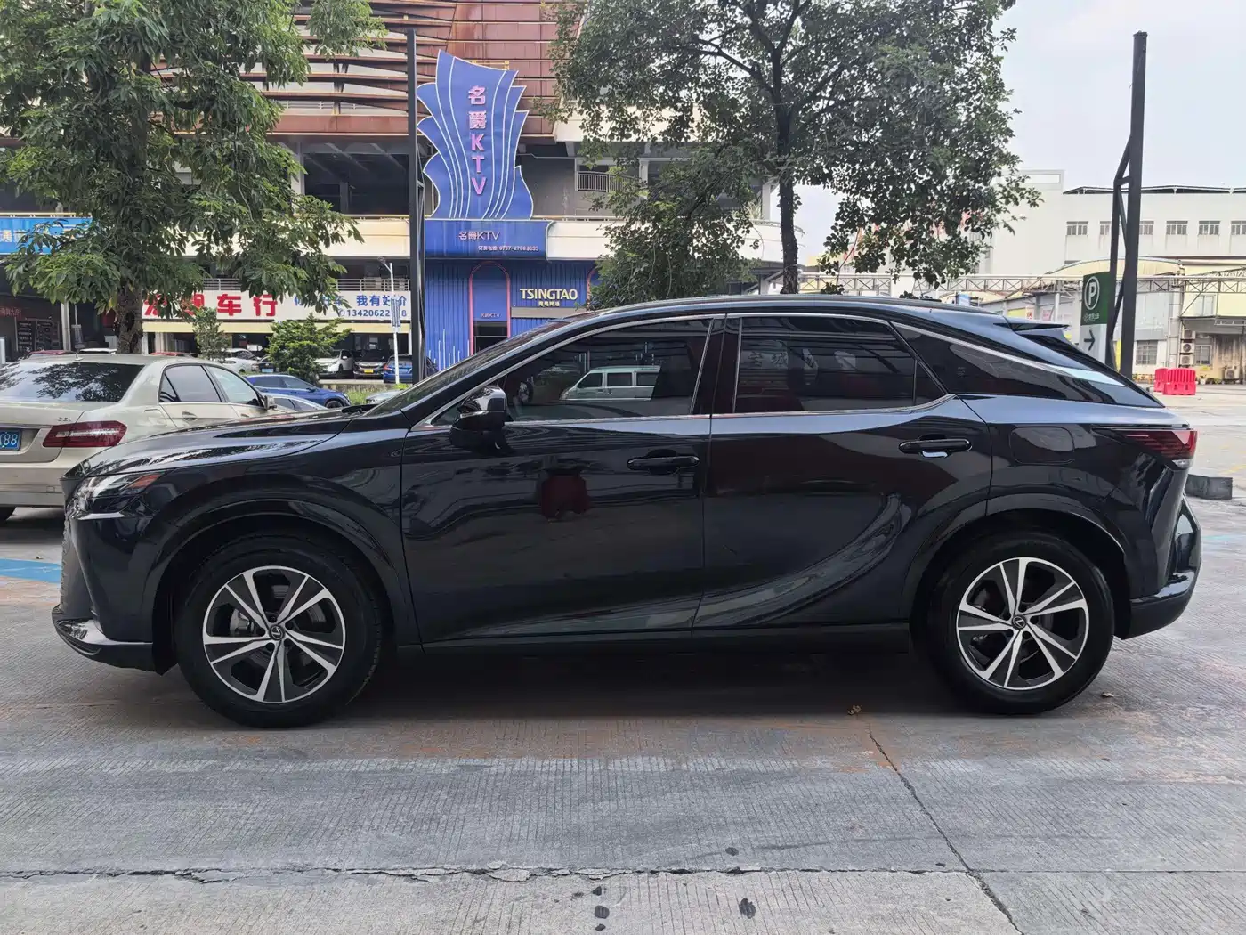2025 Lexus RX